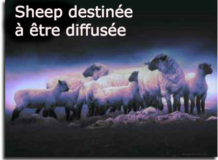 sheep-scattered-fr